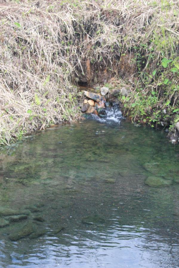 Family Guest House Moni Kelimutu Dış mekan fotoğraf